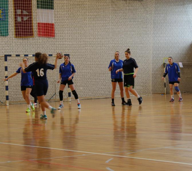 IMG 8388 (1)